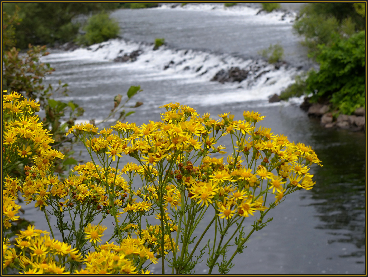 ... an der Ruhr ...