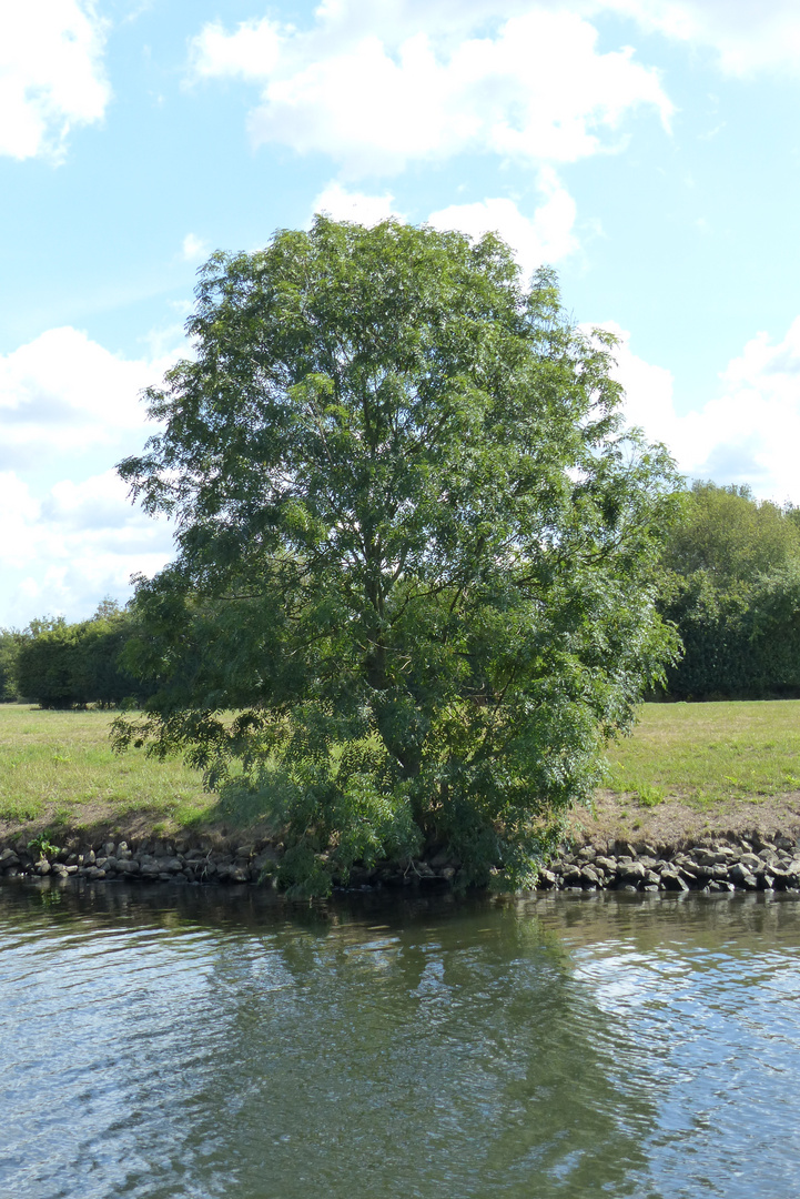 An der Ruhr - August 2018