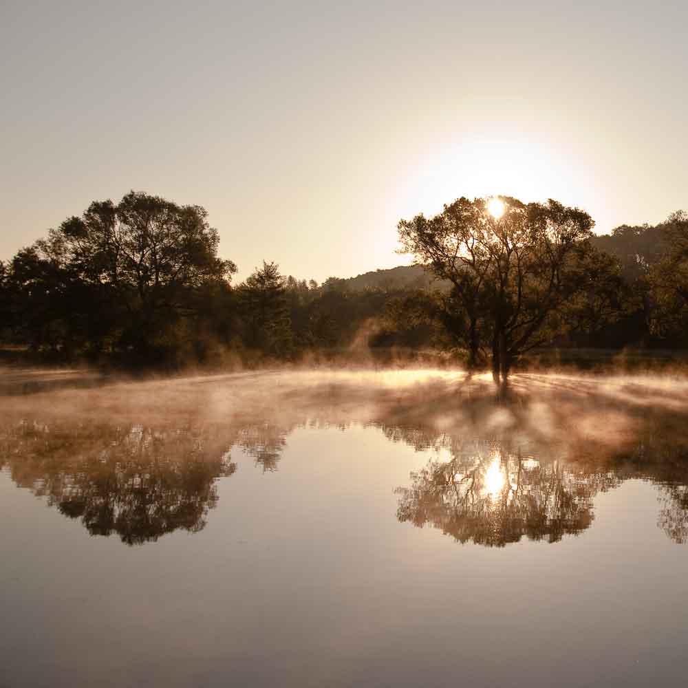 an der Ruhr .... früh morgens