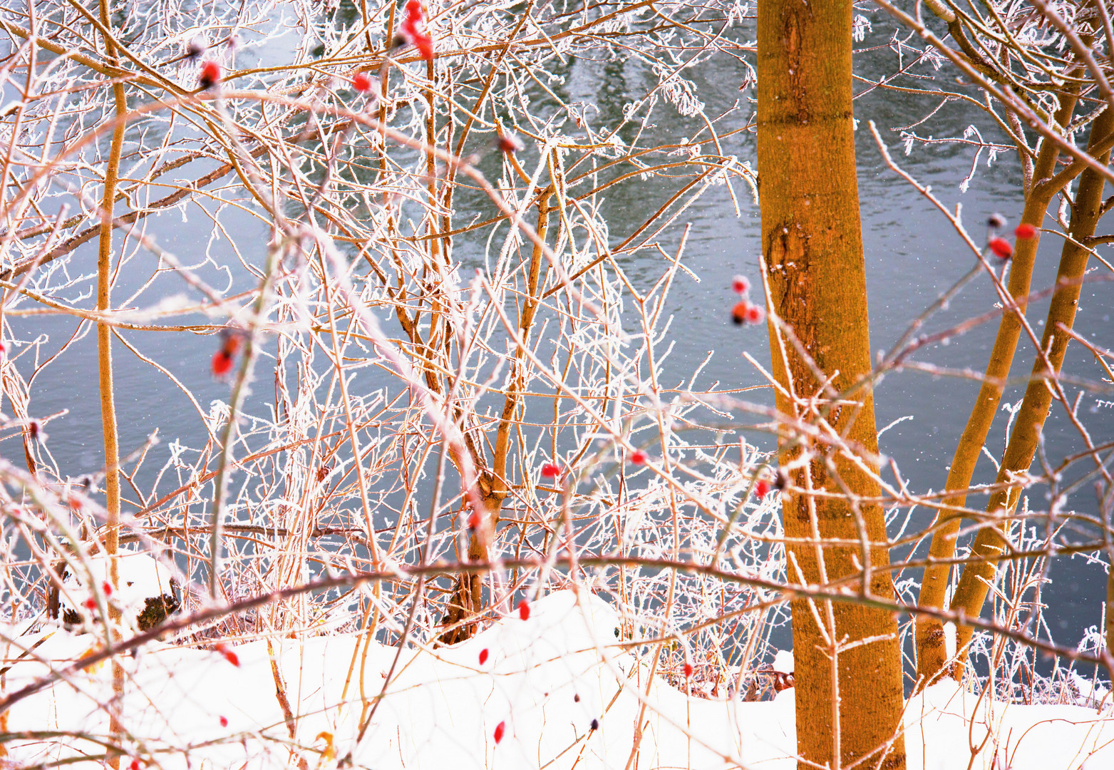 An der Ruhr im Winter