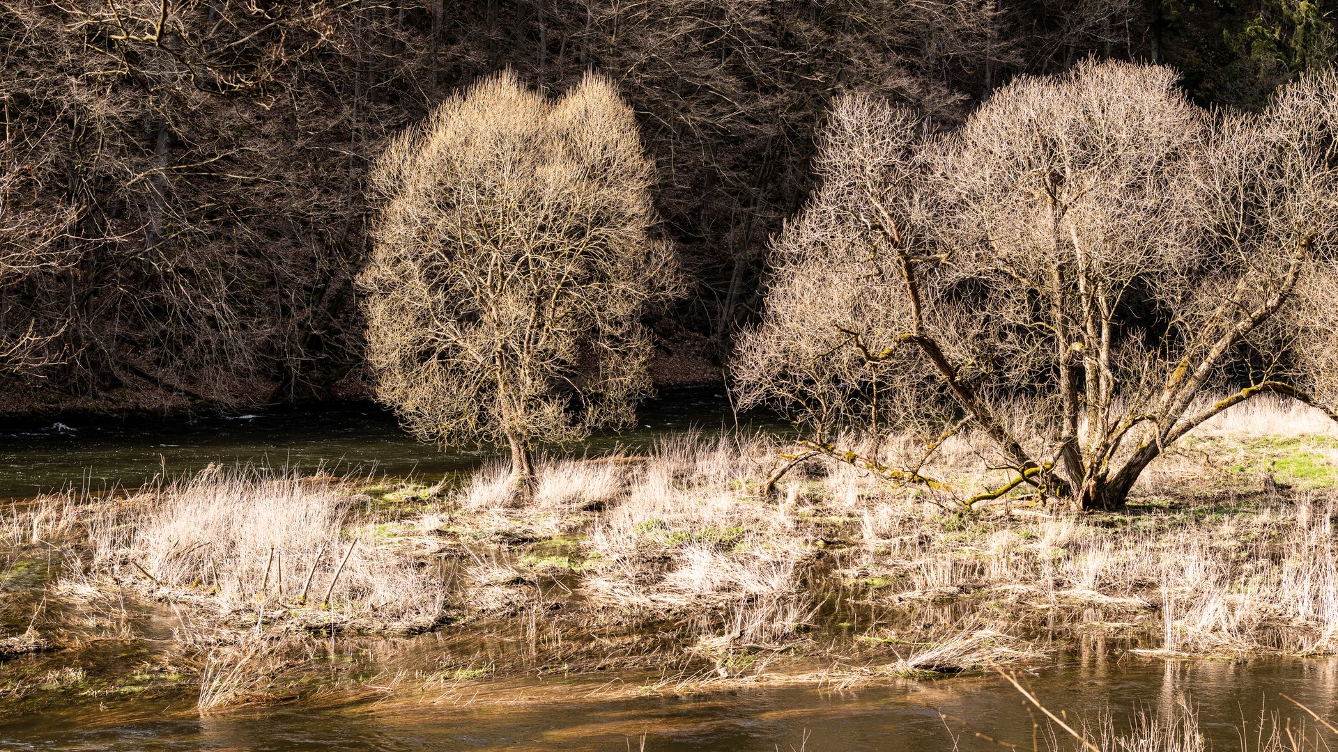 an der Saale bei Ziegenrück