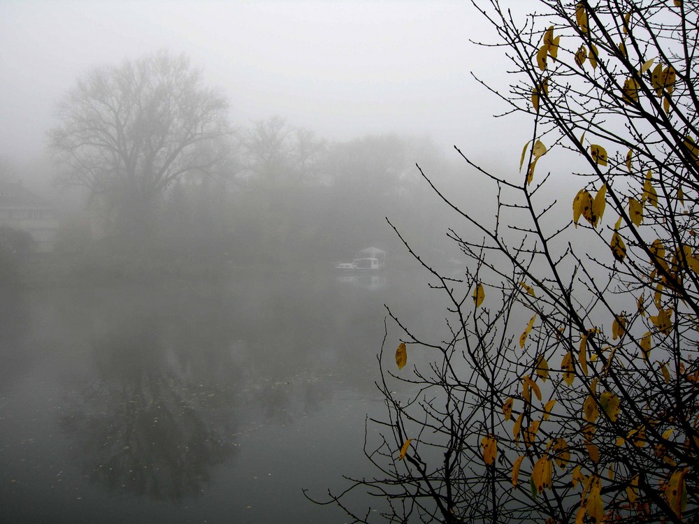 An der Saale hellem Strande II