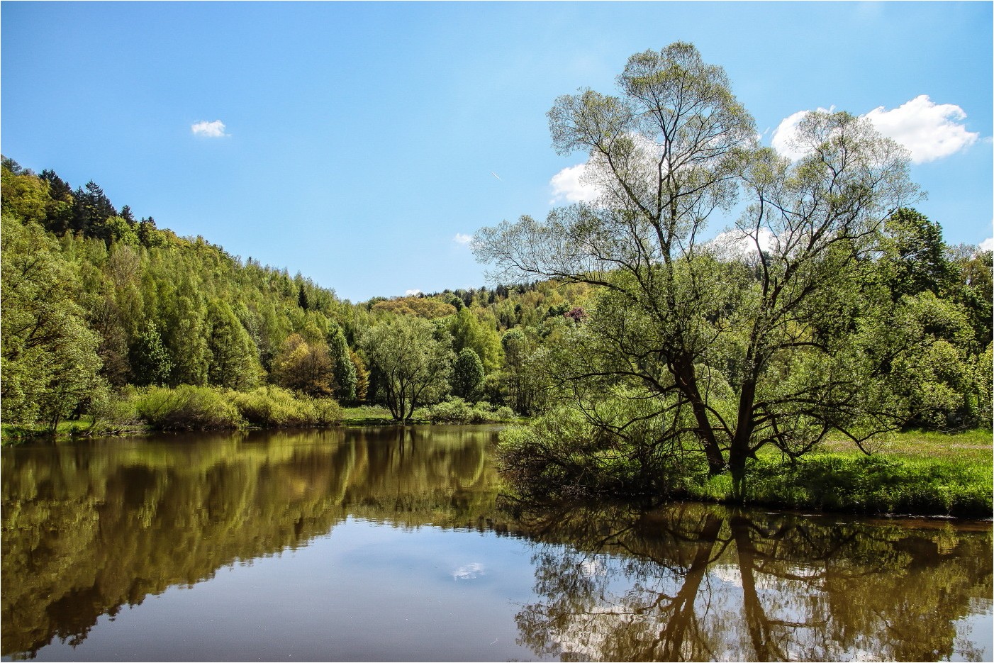 An der Saale wildem Strande (1)