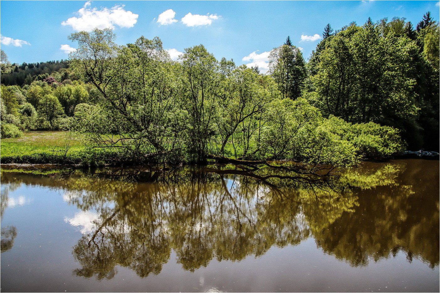 An der Saale wildem Strande (7)