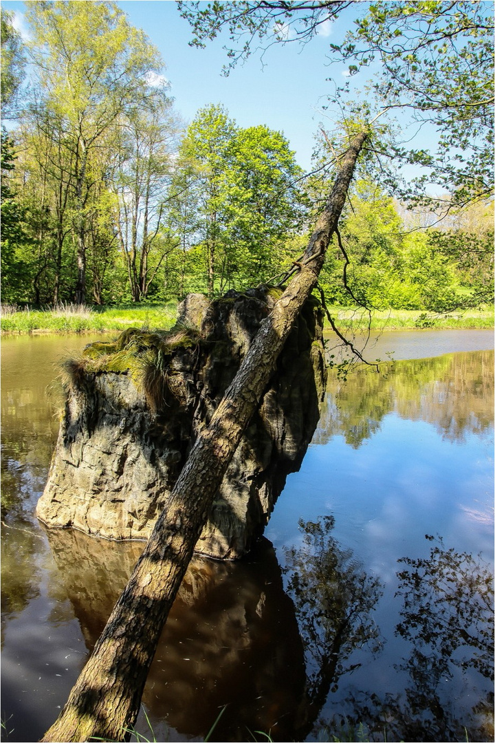 An der Saale wildem Strande (9)