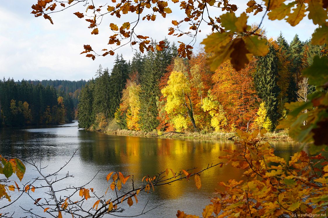 An der Saale zwischen Bleilochsperre und Schloß Burgk