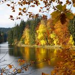 An der Saale zwischen Bleilochsperre und Schloß Burgk