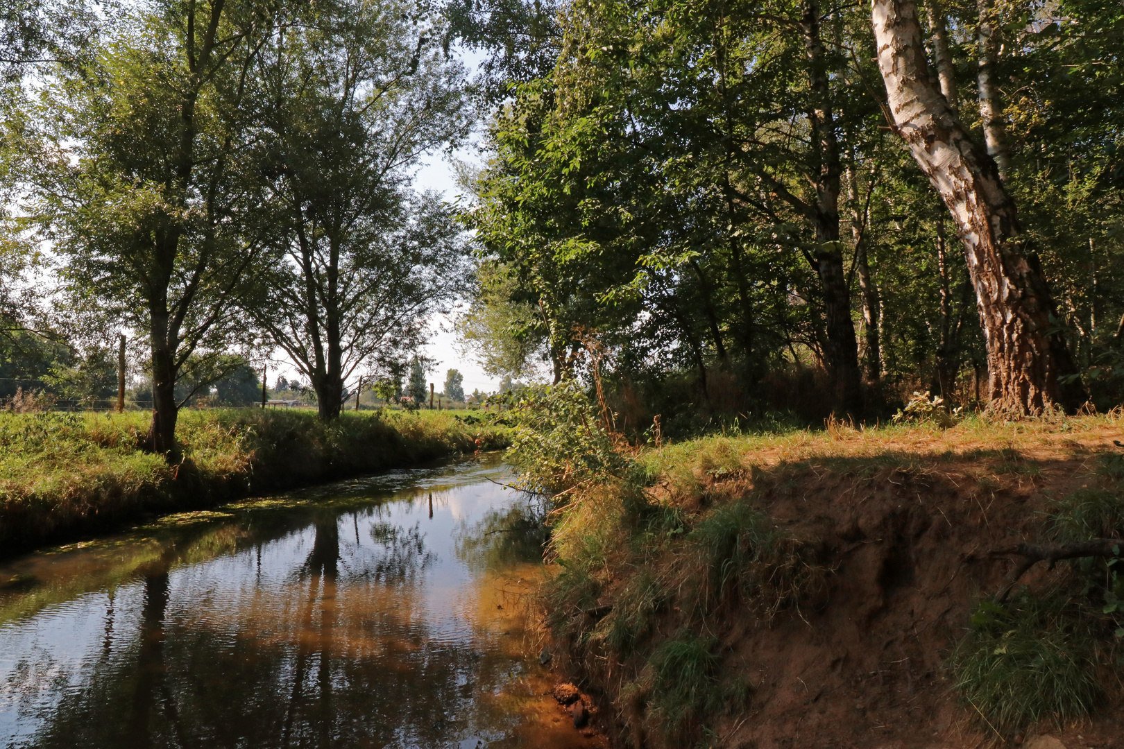 An der Sandbergswiese