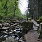 An der Saußbachklamm 2