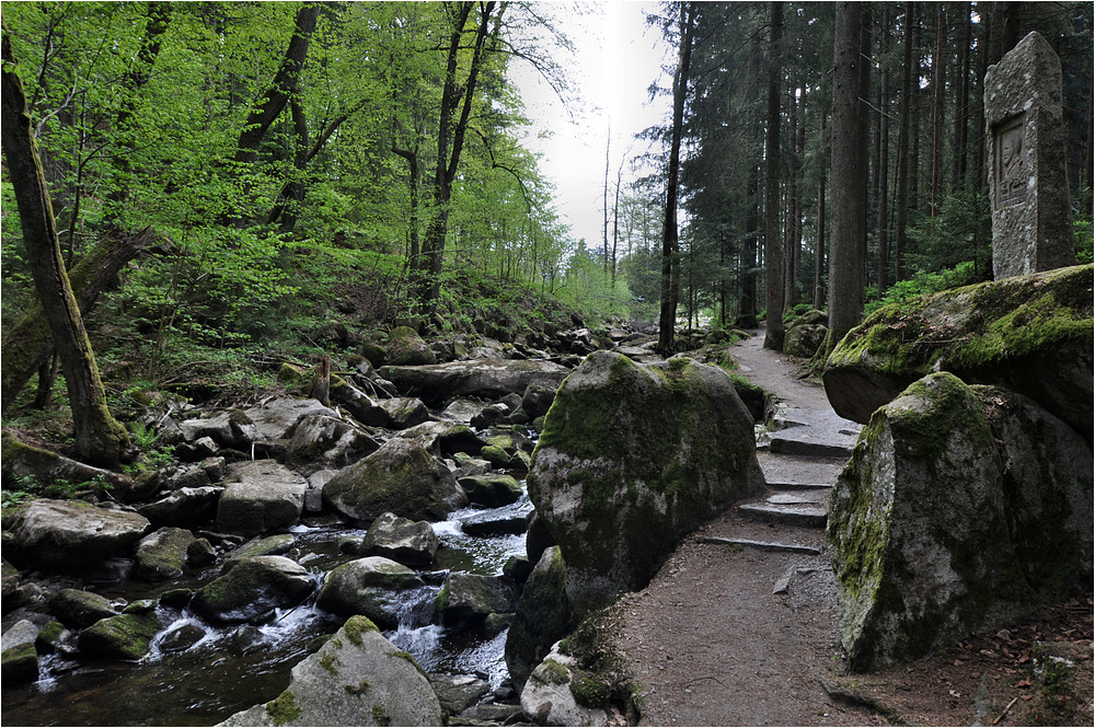 An der Saußbachklamm 2