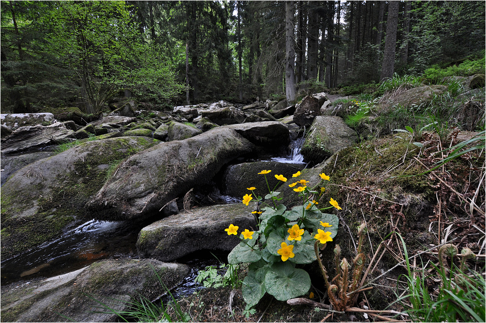 An der Saußbachklamm 3