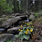 An der Saußbachklamm 3