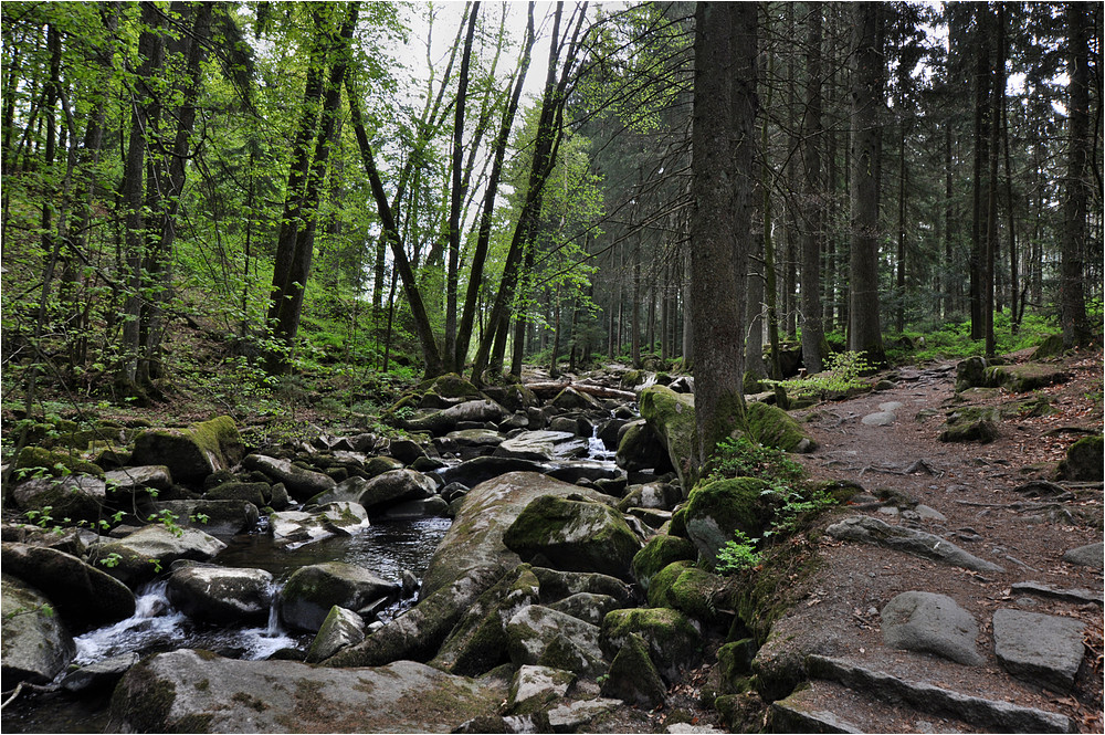 An der Saußbachklamm 4