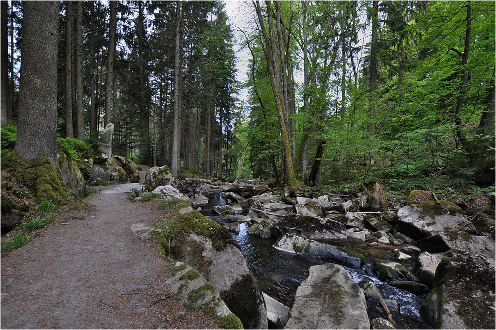 An der Saußbachklamm