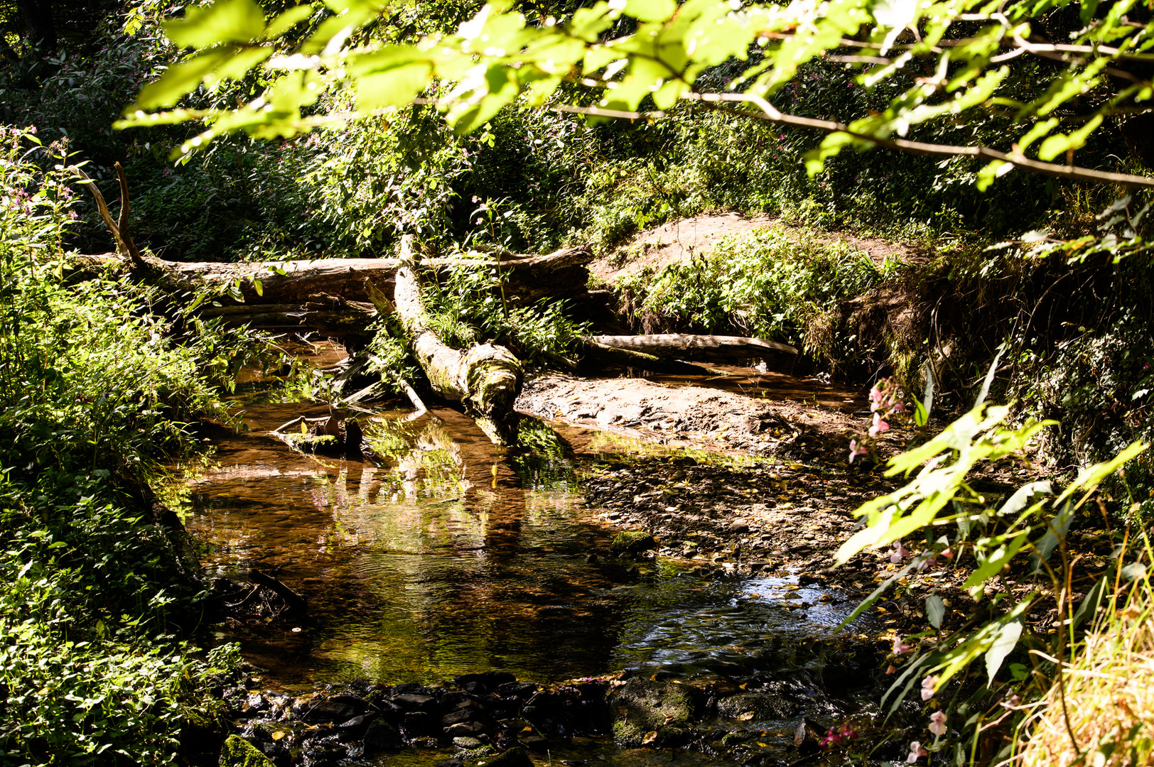 An der Schaich - Au bord de la Schaich