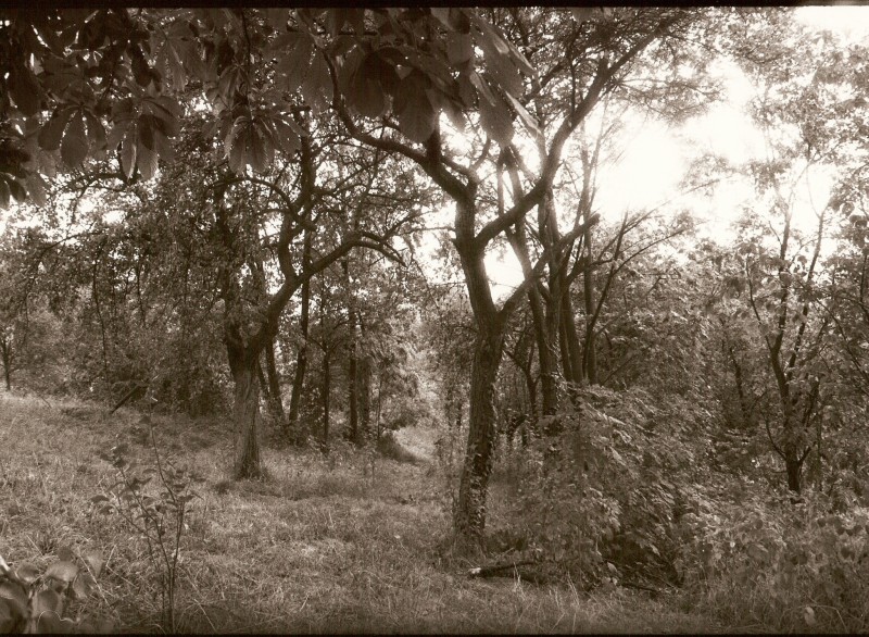 An der Schillerhöhe - Marbach am Neckar