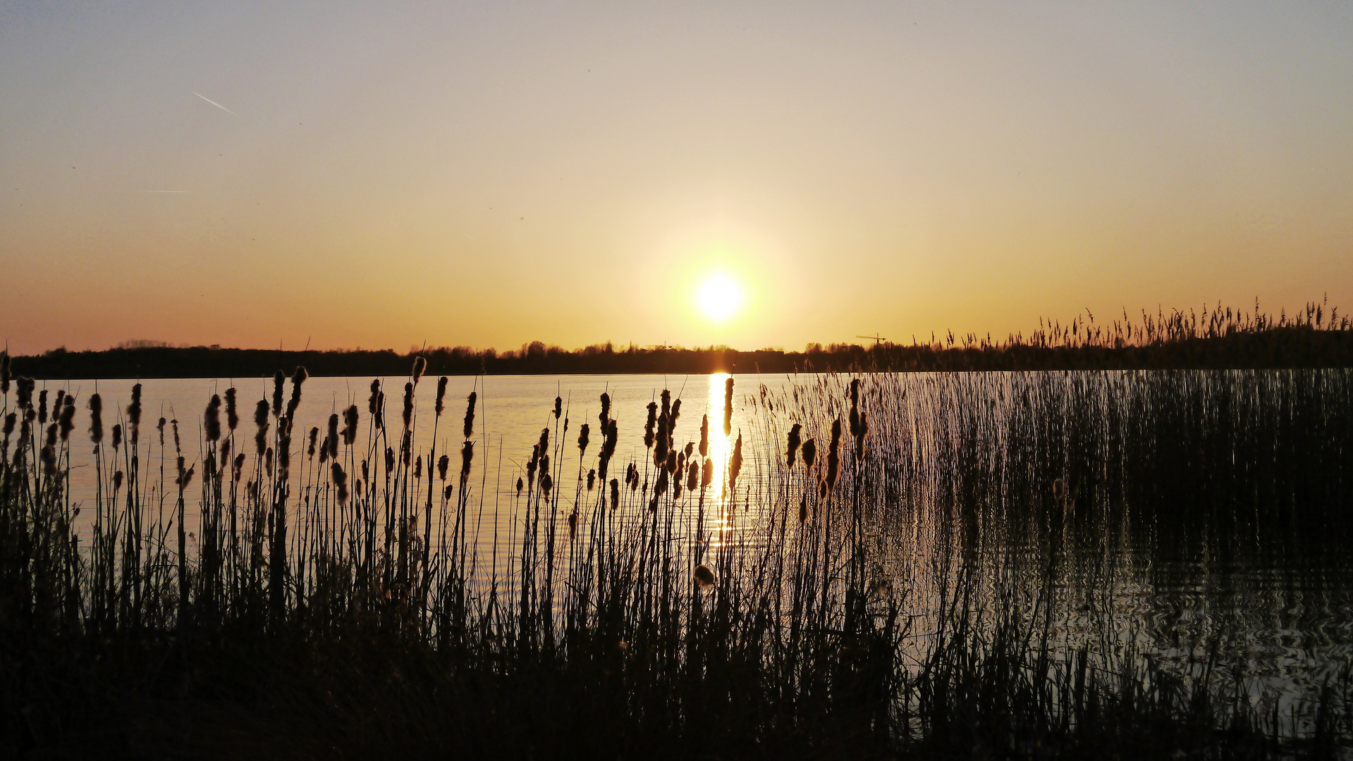 An der Schladitzer Bucht 