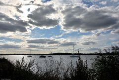 An der Schlei bei Sieseby (1)