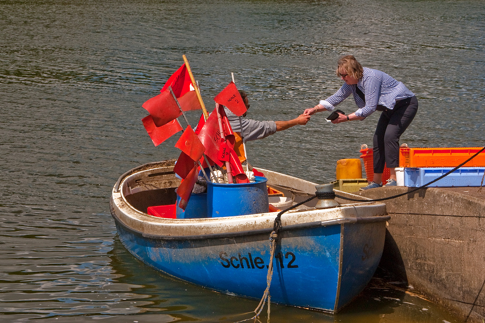 An der Schlei - hier wird ganz frischer Fisch direkt vom Fischer gekauft