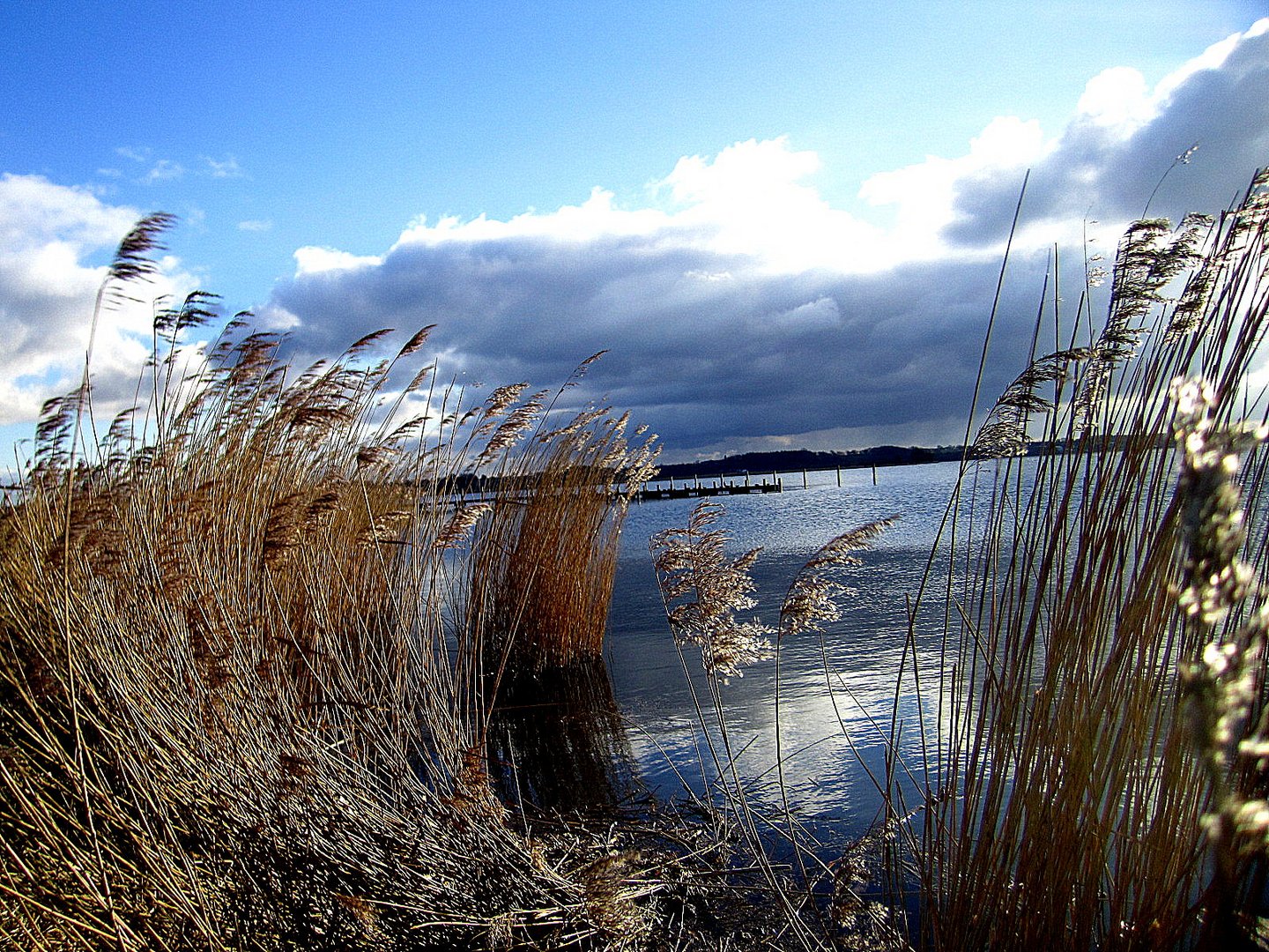 An der Schlei in Füsing