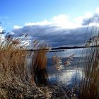 An der Schlei in Füsing