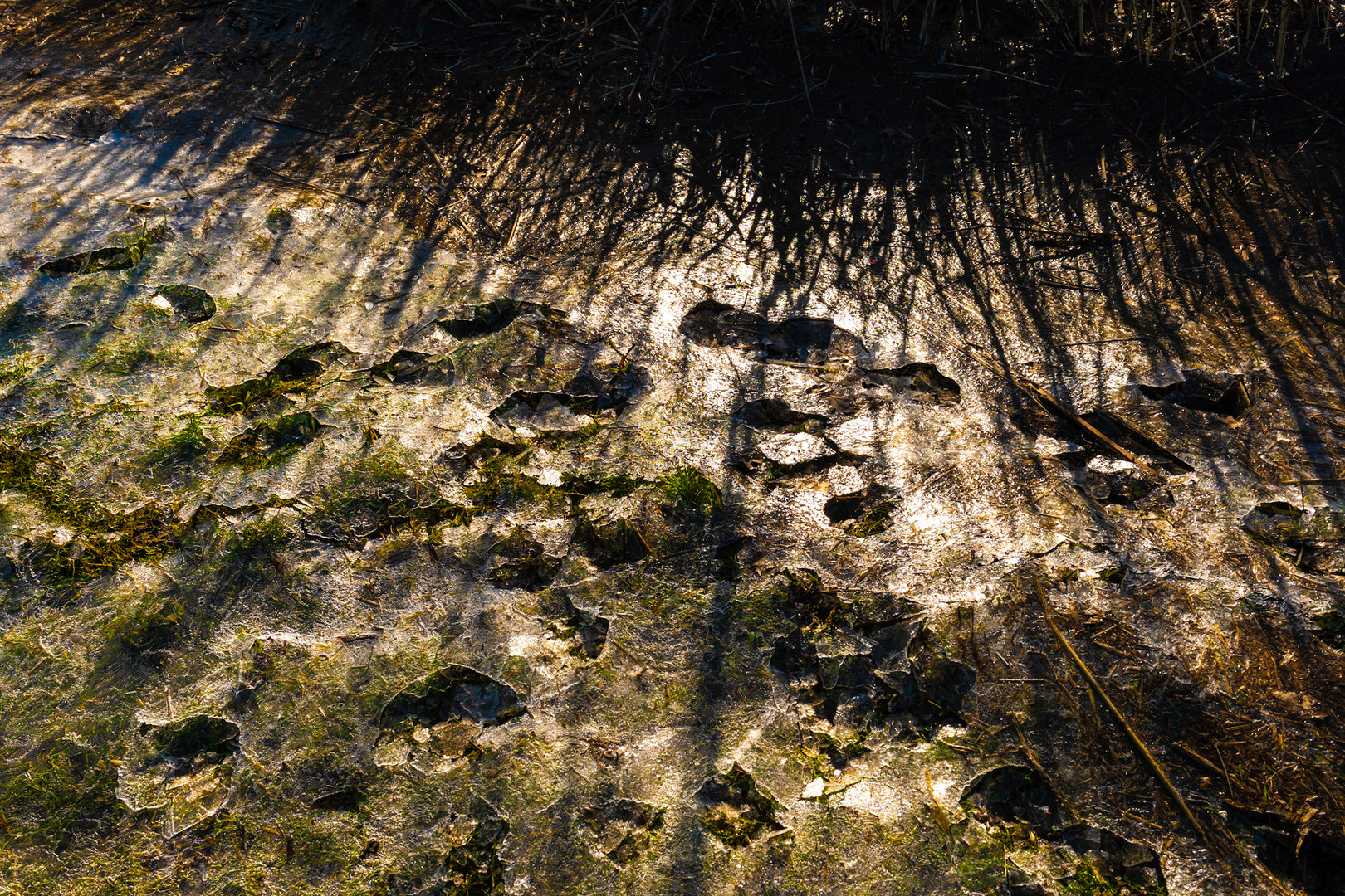 An der Schleife, bei Schleswig