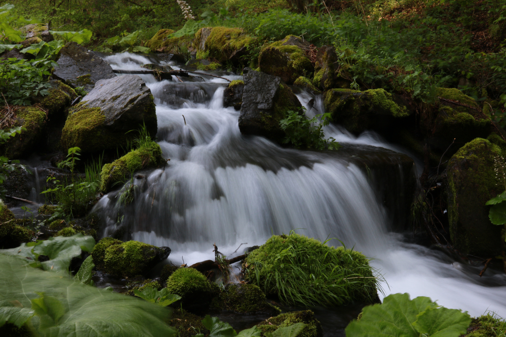 an der Schleuse