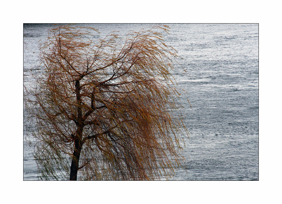 An der schönen, aber nicht immer blauen Donau