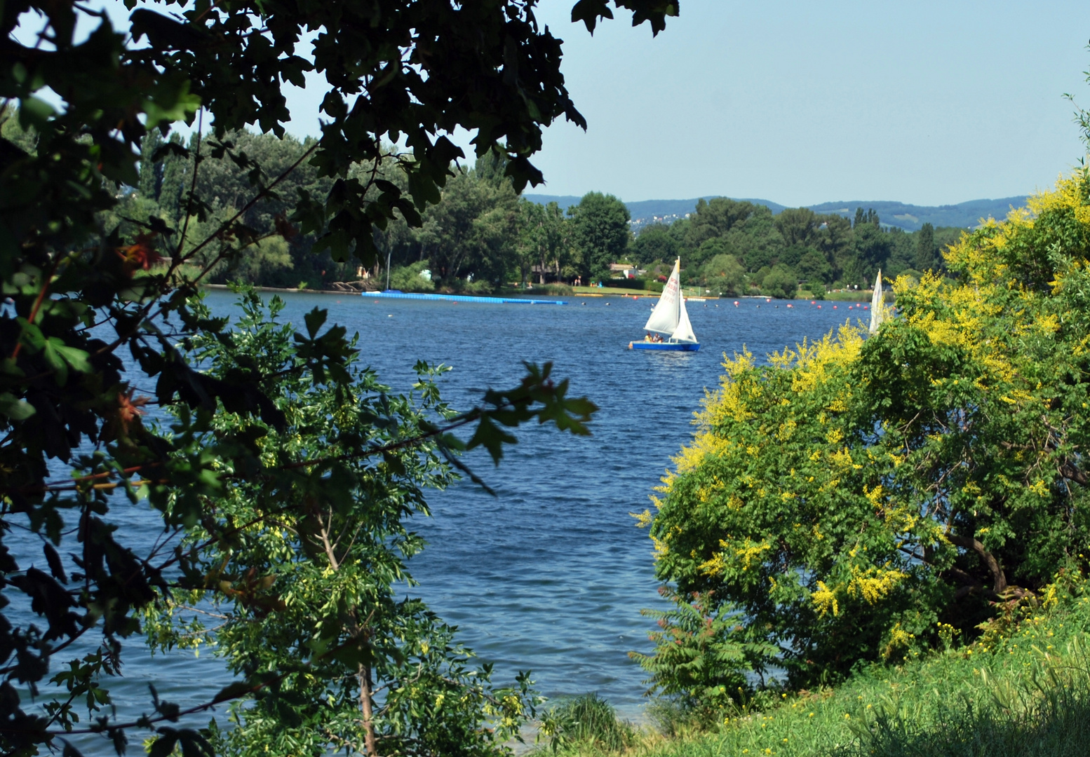 An der schönen blauen Donau