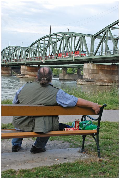 An der schönen blauen Donau II