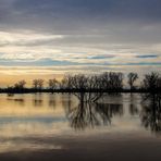 An der schönen Grauen Donau 1