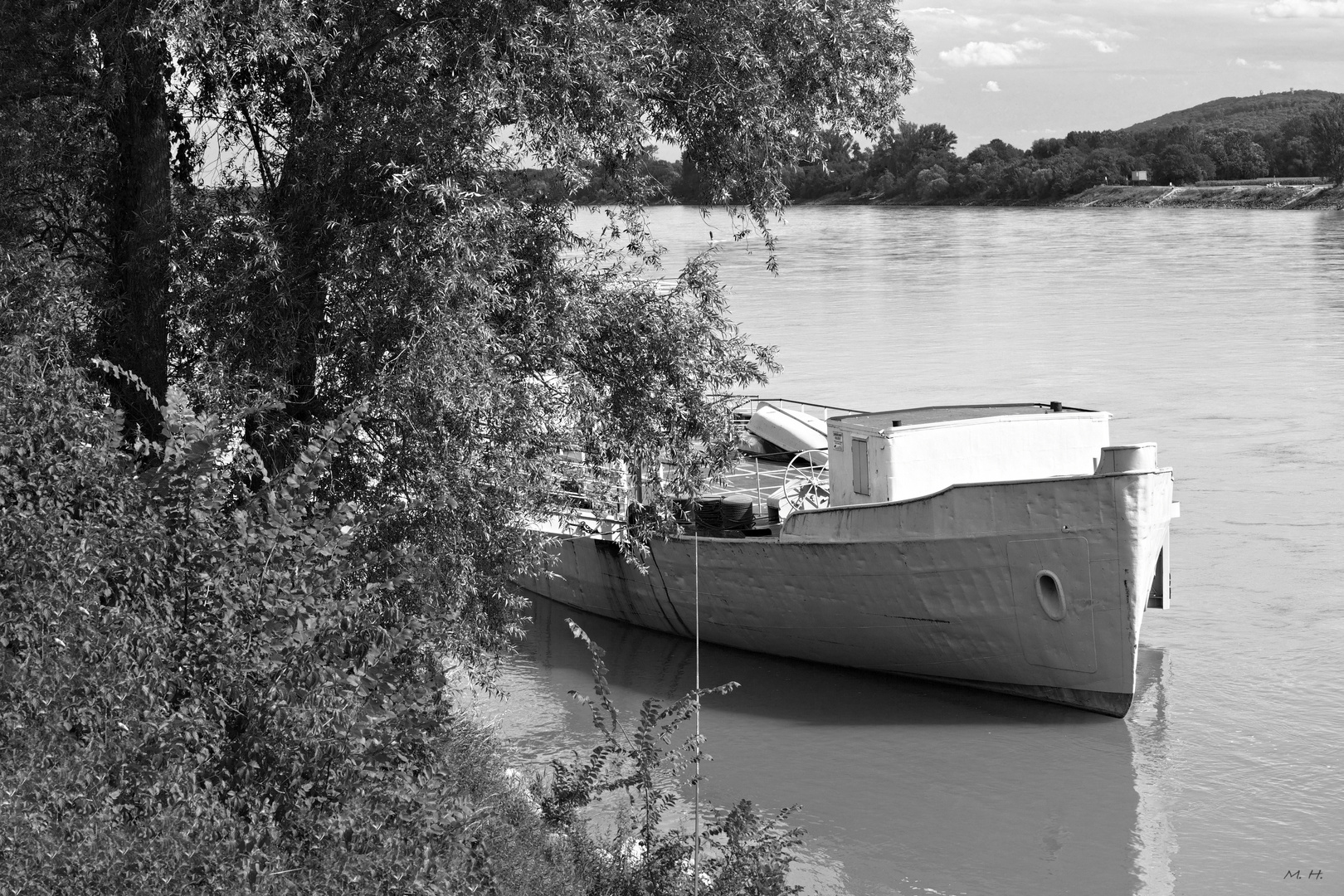 An der schönen grauen Donau