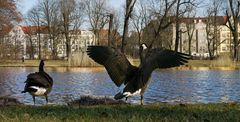 an der schönen Spree