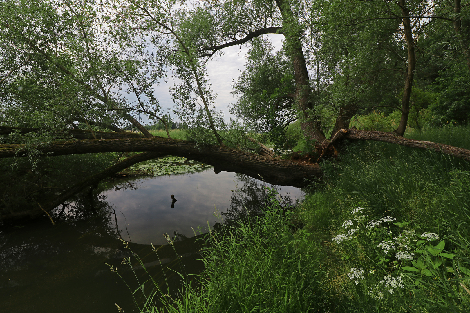 An der Schunter