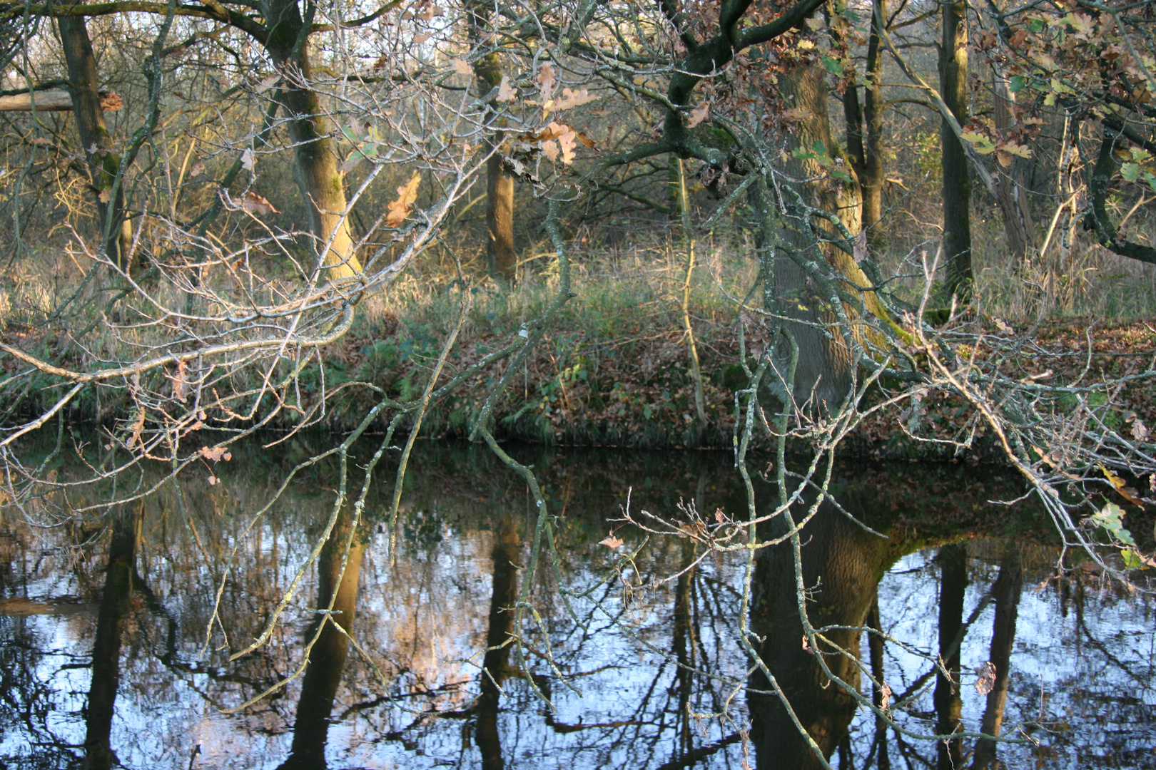 an der Schwalm