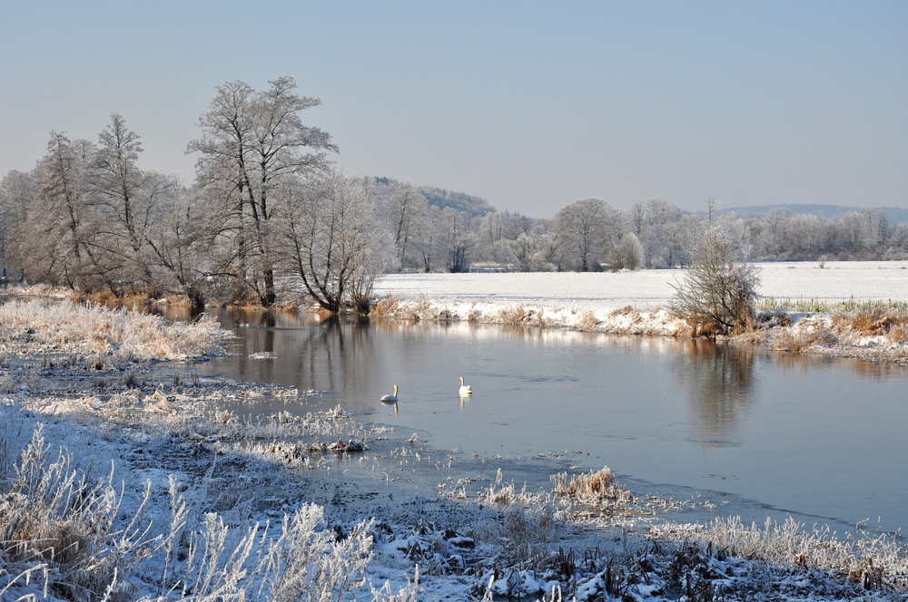 An der Schwarzach...