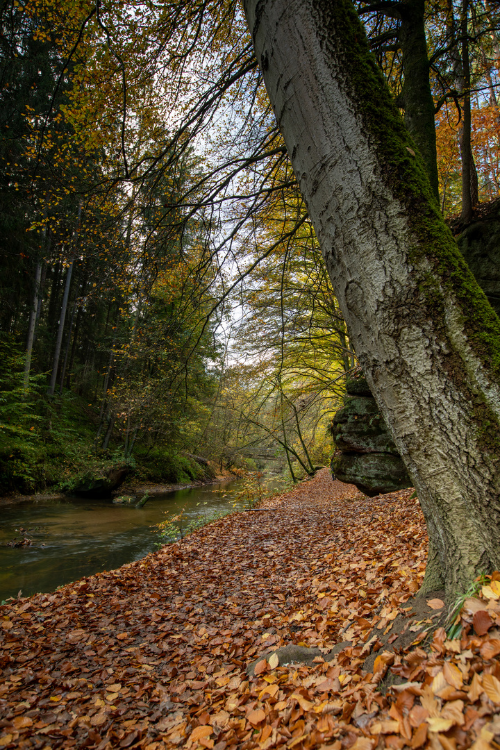 An der Schwarzach