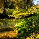 an der schwarzen Laber