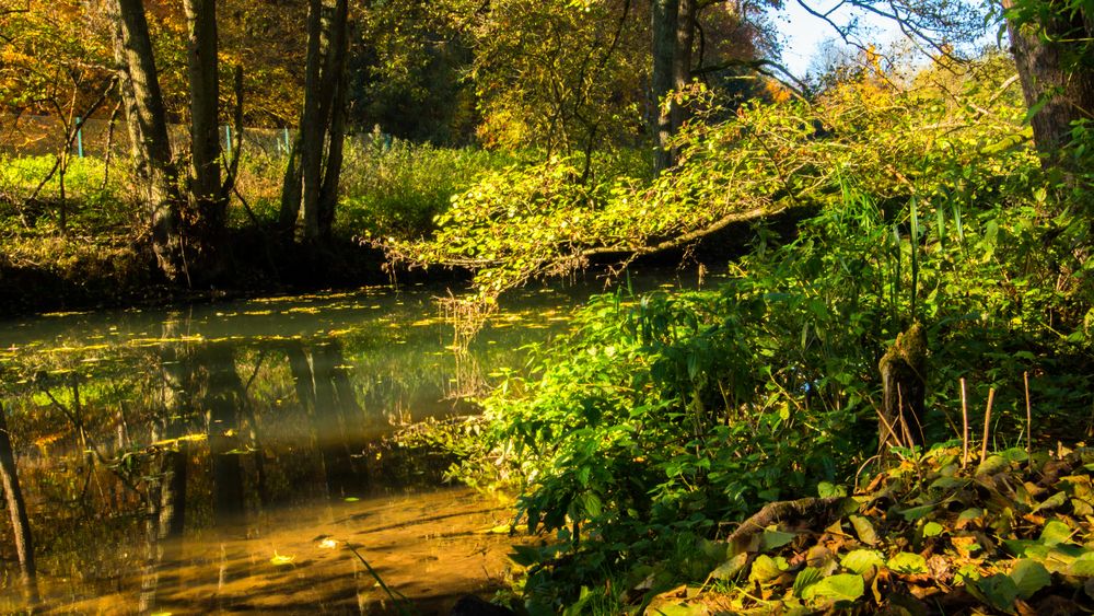 an der schwarzen Laber