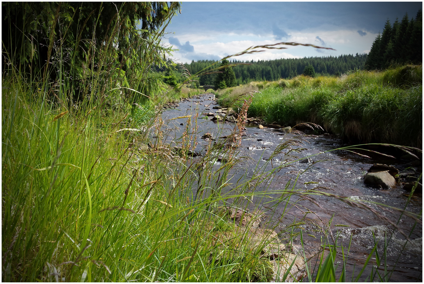 An der schwarzen Pockau