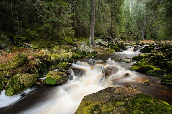 an der schwarzen Pockau.....
