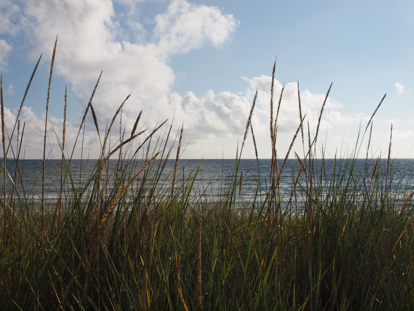 an der see