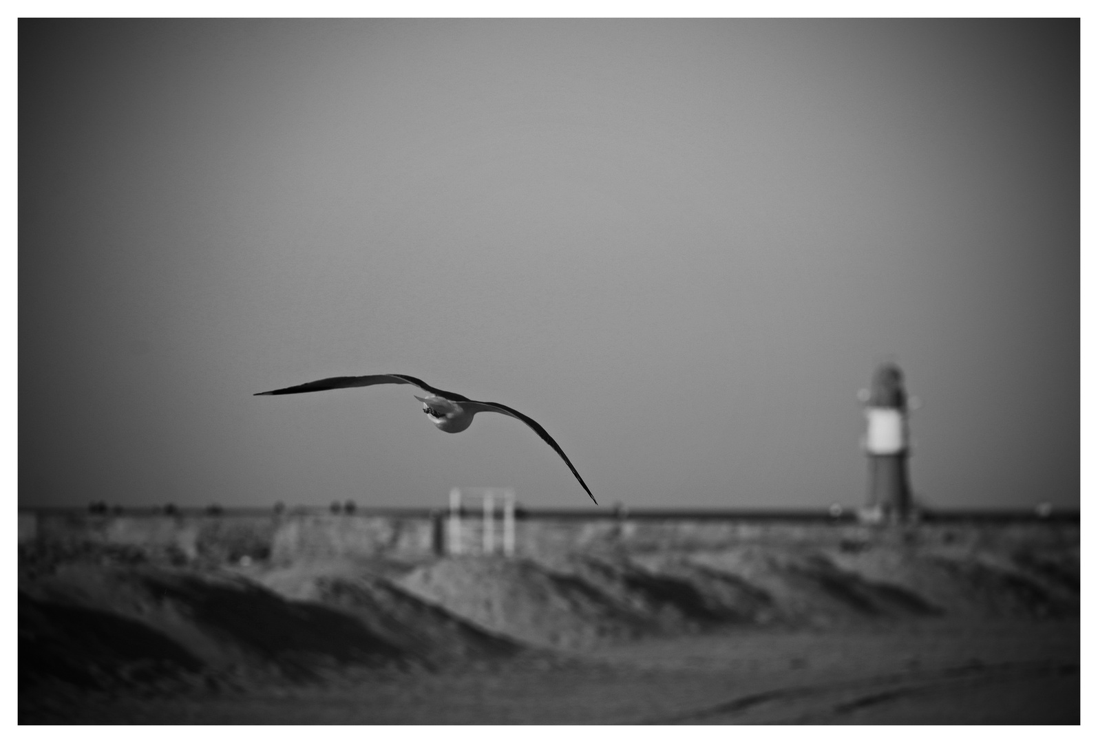 An der See - Warnemünde 01