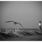 An der See - Warnemünde 01