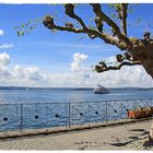 An der Seepromenade von Meersburg