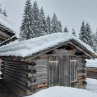 ...an der Silvretta Hochalpenstraße...