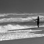 An der skeleton coast