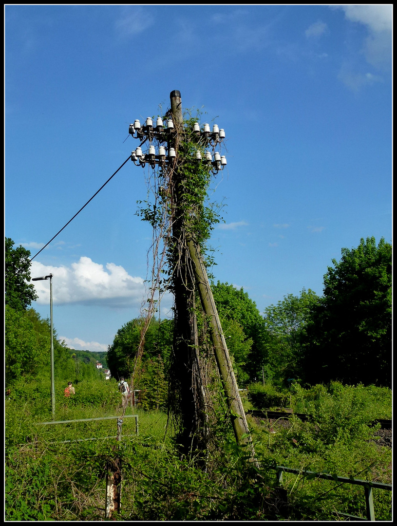 -An der Sollingbahn-