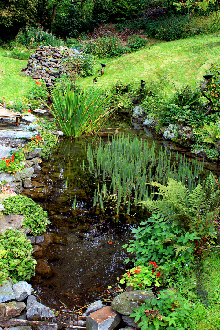 An der Sorpequelle auf dem Schomberg bei Wildewiese im Sauerland