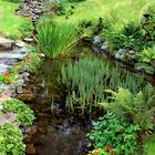 An der Sorpequelle auf dem Schomberg bei Wildewiese im Sauerland